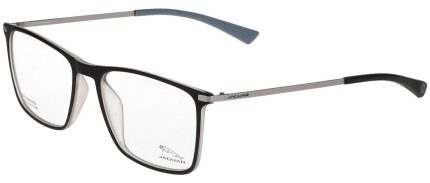 36828 6100 54/17 Menrad Jaguar