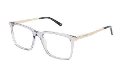 DAP170 03 55/19 MPG Davidoff