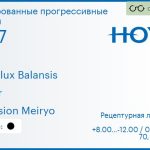 Тонированная прогрессивная линза для очков Hoya Hoyalux Balansis 1.67 Color Hi-Vision Meiryo, Sph 8.00 — -12.00, Cyl 0.00 — 6.00