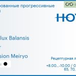 Тонированная прогрессивная линза для очков Hoya Hoyalux Balansis 1.6 Color Hi-Vision Meiryo, Sph 8.00 — -10.00, Cyl 0.00 — 6.00