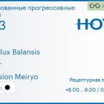 Тонированная прогрессивная линза для очков Hoya Hoyalux Balansis 1.53 Color Hi-Vision Meiryo, Sph 6.00 — -8.00, Cyl 0.00 — 6.00
