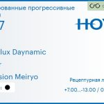 Тонированная прогрессивная линза для очков Hoya Hoyalux Daynamic 1.67 Color Hi-Vision Meiryo, Sph 7.00 — -13.00, Cyl 0.00 — 6.00