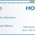 Прогрессивная линза для очков Hoya Hoyalux Daynamic 1.53 Hi-Vision Meiryo, Sph 6.00 — -8.00, Cyl 0.00 — 6.00