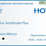Тонированная прогрессивная линза для очков Hoya Hoyalux Amplitude Plus 1.67 Color Hi-Vision Meiryo, Sph 8.00 — -13.00, Cyl 0.00 — 6.00