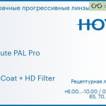 Прогрессивная линза для очков Hoya EnRoute PAL Pro 1.6 DriveCoat + HD Filter, Sph 6.00 — -10.00, Cyl 0.00 — 4.00