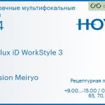 Офисная линза для очков Hoya Hoyalux iD WorkStyle 3 1.74 Hi-Vision Meiryo, рецептурная, Sph 9.00 — -15.00, Cyl 0.00 — 6.00