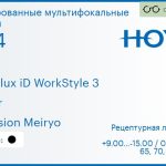 Тонированная мультифокальная линза для очков Hoya Hoyalux iD WorkStyle 3 1.74 Color Hi-Vision Meiryo, рецептурная, Sph 9.00 — -15.00, Cyl 0.00 — 6.00