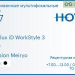 Тонированная мультифокальная линза для очков Hoya Hoyalux iD WorkStyle 3 1.67 Color Hi-Vision Meiryo, рецептурная, Sph 7.00 — -13.00, Cyl 0.00 — 6.00