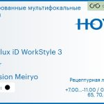 Тонированная мультифокальная линза для очков Hoya Hoyalux iD WorkStyle 3 1.6 Color Hi-Vision Meiryo, рецептурная, Sph 7.00 — -11.00, Cyl 0.00 — 6.00