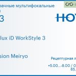 Офисная линза для очков Hoya Hoyalux iD WorkStyle 3 1.53 Hi-Vision Meiryo, рецептурная, Sph 5.00 — -8.00, Cyl 0.00 — 6.00