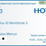 Тонированная мультифокальная линза для очков Hoya Hoyalux iD WorkStyle 3 1.53 Color Hi-Vision Meiryo, рецептурная, Sph 5.00 — -8.00, Cyl 0.00 — 6.00