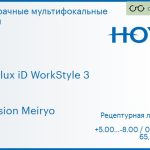 Офисная линза для очков Hoya Hoyalux iD WorkStyle 3 1.5 Hi-Vision Meiryo, рецептурная, Sph 5.00 — -8.00, Cyl 0.00 — 6.00