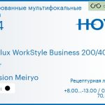 Тонированная мультифокальная линза для очков Hoya Hoyalux WorkStyle Business 200/400 1.74 Color Hi-Vision Meiryo, рецептурная, Sph 8.00 — -13.00, Cyl 0.00 — 6.00