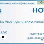 Тонированная мультифокальная линза для очков Hoya Hoyalux WorkStyle Business 200/400 1.74 Color HVLL UVC, рецептурная, Sph 8.00 — -13.00, Cyl 0.00 — 6.00