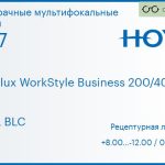 Офисная линза для очков Hoya Hoyalux WorkStyle Business 200/400 1.67 HVLL BLC, рецептурная, Sph 8.00 — -12.00, Cyl 0.00 — 6.00