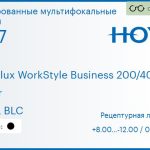 Тонированная мультифокальная линза для очков Hoya Hoyalux WorkStyle Business 200/400 1.67 Color HVLL BLC, рецептурная, Sph 8.00 — -12.00, Cyl 0.00 — 6.00