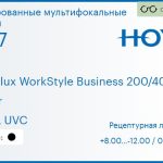 Тонированная мультифокальная линза для очков Hoya Hoyalux WorkStyle Business 200/400 1.67 Color HVLL UVC, рецептурная, Sph 8.00 — -12.00, Cyl 0.00 — 6.00