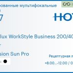 Тонированная мультифокальная линза для очков Hoya Hoyalux WorkStyle Business 200/400 1.67 Color Hi-Vision Sun Pro, рецептурная, Sph 8.00 — -12.00, Cyl 0.00 — 6.00