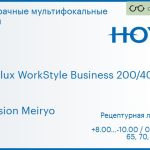 Офисная линза для очков Hoya Hoyalux WorkStyle Business 200/400 1.6 Hi-Vision Meiryo, рецептурная, Sph 8.00 — -10.00, Cyl 0.00 — 6.00