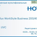 Офисная линза для очков Hoya Hoyalux WorkStyle Business 200/400 1.6 HVLL UVC, рецептурная, Sph 8.00 — -10.00, Cyl 0.00 — 6.00