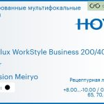 Тонированная мультифокальная линза для очков Hoya Hoyalux WorkStyle Business 200/400 1.6 Color Hi-Vision Meiryo, рецептурная, Sph 8.00 — -10.00, Cyl 0.00 — 6.00