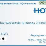 Тонированная мультифокальная линза для очков Hoya Hoyalux WorkStyle Business 200/400 1.6 Color HVLL UVC, рецептурная, Sph 8.00 — -10.00, Cyl 0.00 — 6.00