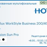 Тонированная мультифокальная линза для очков Hoya Hoyalux WorkStyle Business 200/400 1.6 Color Hi-Vision Sun Pro, рецептурная, Sph 8.00 — -10.00, Cyl 0.00 — 6.00