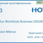 Офисная линза для очков Hoya Hoyalux WorkStyle Business 200/400 1.53 Hi-Vision Meiryo, рецептурная, Sph 6.00 — -8.00, Cyl 0.00 — 6.00
