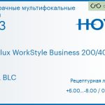 Офисная линза для очков Hoya Hoyalux WorkStyle Business 200/400 1.53 HVLL BLC, рецептурная, Sph 6.00 — -8.00, Cyl 0.00 — 6.00