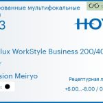 Тонированная мультифокальная линза для очков Hoya Hoyalux WorkStyle Business 200/400 1.53 Color Hi-Vision Meiryo, рецептурная, Sph 6.00 — -8.00, Cyl 0.00 — 6.00