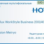 Офисная линза для очков Hoya Hoyalux WorkStyle Business 200/400 1.5 Hi-Vision Meiryo, рецептурная, Sph 6.00 — -8.00, Cyl 0.00 — 6.00