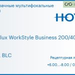 Офисная линза для очков Hoya Hoyalux WorkStyle Business 200/400 1.5 HVLL BLC, рецептурная, Sph 6.00 — -8.00, Cyl 0.00 — 6.00