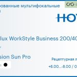 Тонированная мультифокальная линза для очков Hoya Hoyalux WorkStyle Business 200/400 1.5 Color Hi-Vision Sun Pro, рецептурная, Sph 6.00 — -8.00, Cyl 0.00 — 6.00
