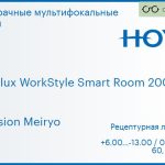 Офисная линза для очков Hoya Hoyalux WorkStyle Smart Room 200/400 1.6 Hi-Vision Meiryo, рецептурная, Sph 6.00 — -13.00, Cyl 0.00 — 6.00