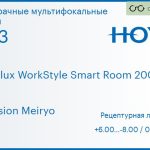Офисная линза для очков Hoya Hoyalux WorkStyle Smart Room 200/400 1.53 Hi-Vision Meiryo, рецептурная, Sph 6.00 — -8.00, Cyl 0.00 — 6.00