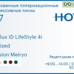 Тонированная поляризационная прогрессивная линза для очков Hoya Hoyalux ID LifeStyle 4i 1.67 Polarized Hi-Vision Meiryo, Sph 9.00 — -14.00, Cyl 0.00 — 6.00