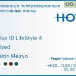 Тонированная поляризационная прогрессивная линза для очков Hoya Hoyalux ID LifeStyle 4 1.6 Polarized Hi-Vision Meiryo, Sph 9.00 — -11.00, Cyl 0.00 — 6.00