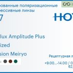 Тонированная поляризационная прогрессивная линза для очков Hoya Hoyalux Amplitude Plus 1.67 Polarized Hi-Vision Meiryo, Sph 9.00 — -14.00, Cyl 0.00 — 6.00