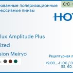 Тонированная поляризационная прогрессивная линза для очков Hoya Hoyalux Amplitude Plus 1.6 Polarized Hi-Vision Meiryo, Sph 9.00 — -11.00, Cyl 0.00 — 6.00