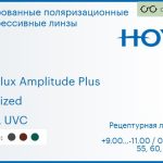 Тонированная поляризационная прогрессивная линза для очков Hoya Hoyalux Amplitude Plus 1.6 Polarized HVLL UVC, Sph 9.00 — -11.00, Cyl 0.00 — 6.00