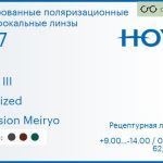Тонированная поляризационная линза для очков с поддержкой аккомодации Hoya Sync III 1.67 Polarized Hi-Vision Meiryo, рецептурная, Sph 9.00 — -14.00, Cyl 0.00 — 6.00
