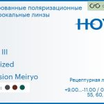 Тонированная поляризационная линза для очков с поддержкой аккомодации Hoya Sync III 1.6 Polarized Hi-Vision Meiryo, рецептурная, Sph 9.00 — -11.00, Cyl 0.00 — 6.00
