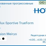 Тонированная прогрессивная линза для очков Hoya Hoyalux Sportive TrueForm 1.6 Color Hi-Vision Meiryo, Sph 4.00 — -4.00, Cyl 0.00 — 4.00