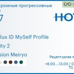 Фотохромная прогрессивная линза для очков Hoya Hoyalux ID MySelf Profile 1.67 Sensity 2 Hi-Vision Meiryo, Sph 8.00 — -13.00, Cyl 0.00 — 6.00