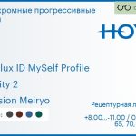 Фотохромная прогрессивная линза для очков Hoya Hoyalux ID MySelf Profile 1.6 Sensity 2 Hi-Vision Meiryo, Sph 8.00 — -11.00, Cyl 0.00 — 6.00